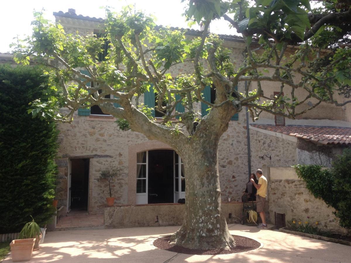 L'Abri Du Poete Panzió Besse-sur-Issole Kültér fotó